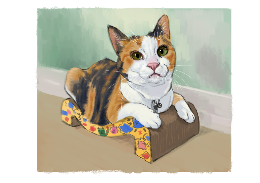 남의집 고양이 보고가이소_2.png