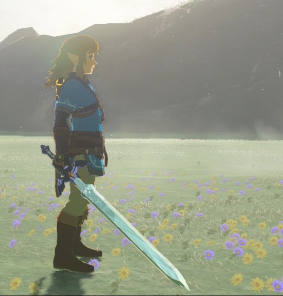 젤다) 원래 엔딩 전까지는 글리치 안쓰는데_4.jpg