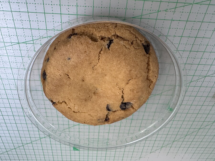 트릭컬 에슈르의 카라멜맛 쿠키_3.jpg