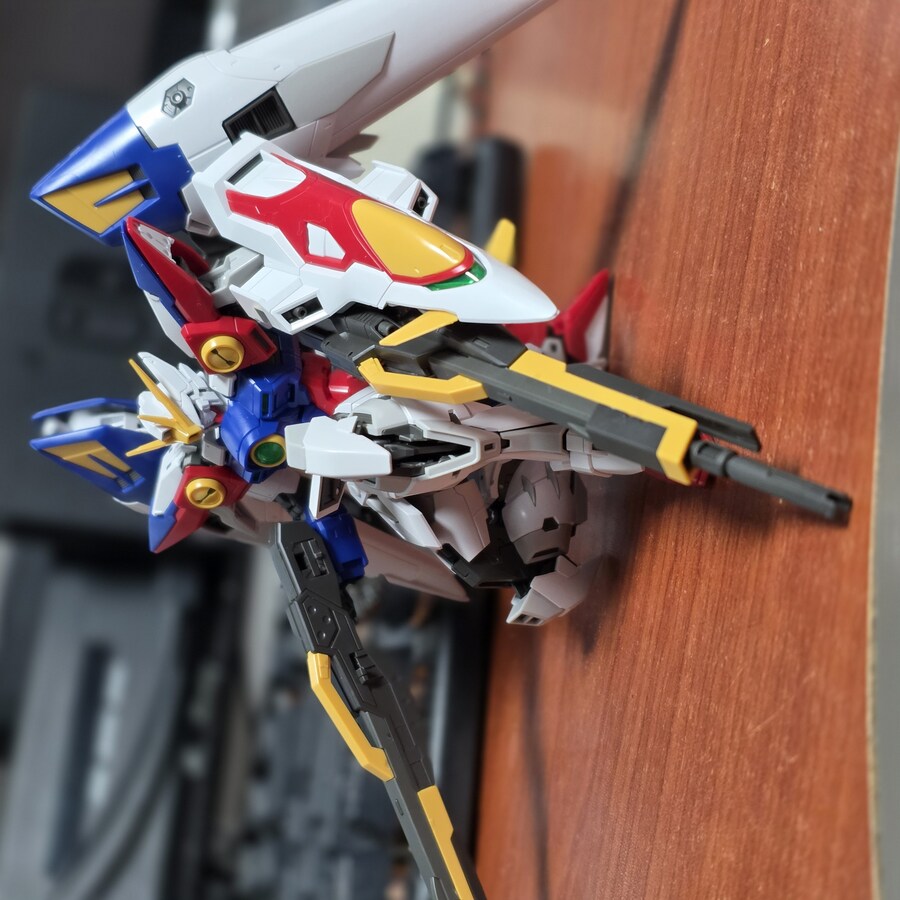 RG윙제로 포징좀 잡아봤습니다_1.jpg