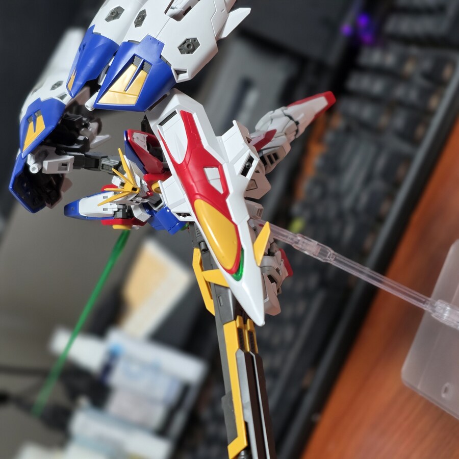 RG윙제로 포징좀 잡아봤습니다_9.jpg