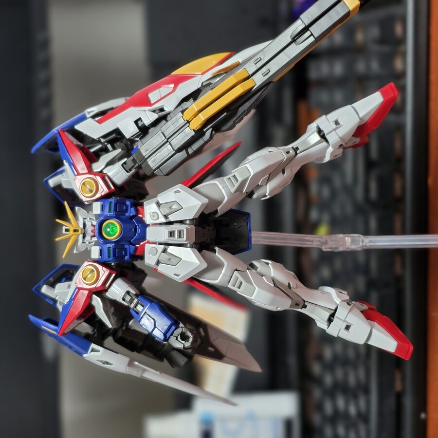 RG윙제로 포징좀 잡아봤습니다_11.jpg