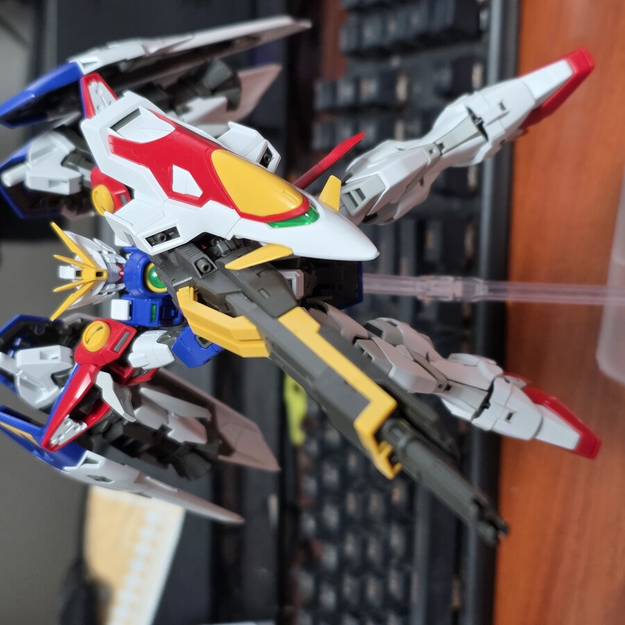 RG윙제로 포징좀 잡아봤습니다_12.jpg