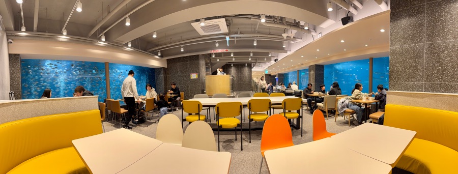 감포항과 수족관이 있는 카페_2.jpeg