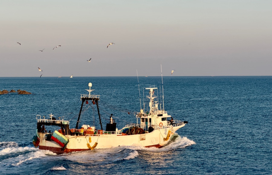 감포항과 수족관이 있는 카페_7.jpeg