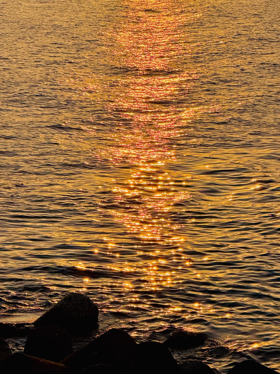 감포항과 수족관이 있는 카페_11.jpeg