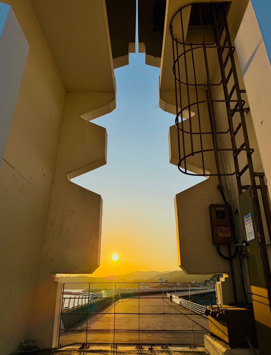 감포항과 수족관이 있는 카페_12.jpeg