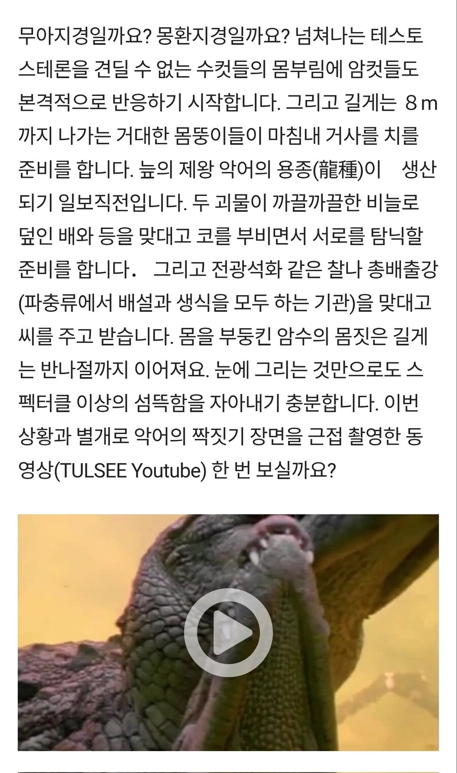 수상할 정도로 표현력이 좋은 기사_2.jpg