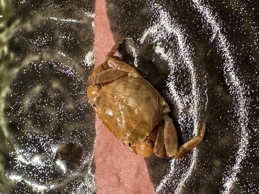 어제 다녀온 집근처 사케바_6.jpg