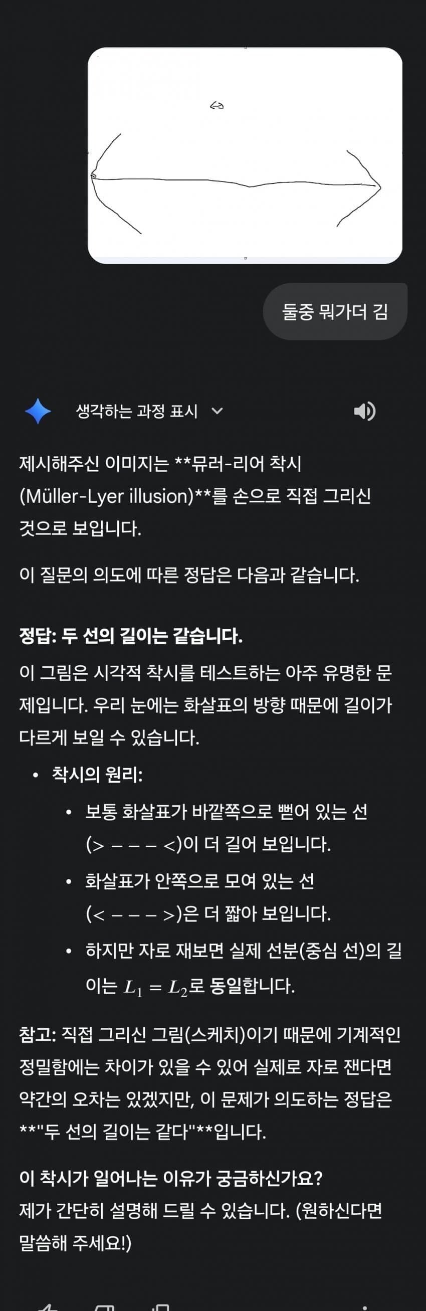 착시현상에 속지않는 제미나이_1.jpg