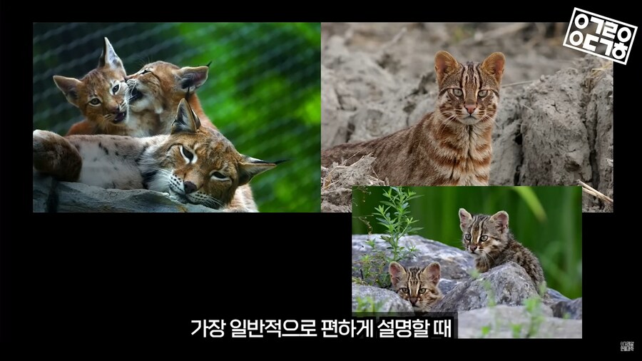 생명과학 교육의 문제_2.png