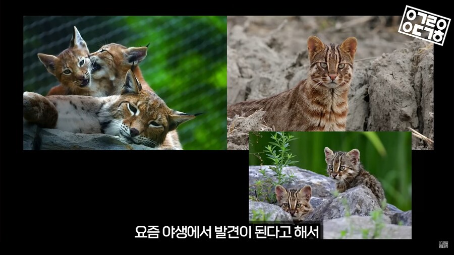 생명과학 교육의 문제_8.png