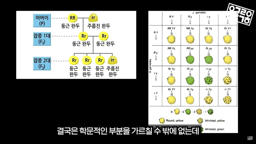 생명과학 교육의 문제_26.png