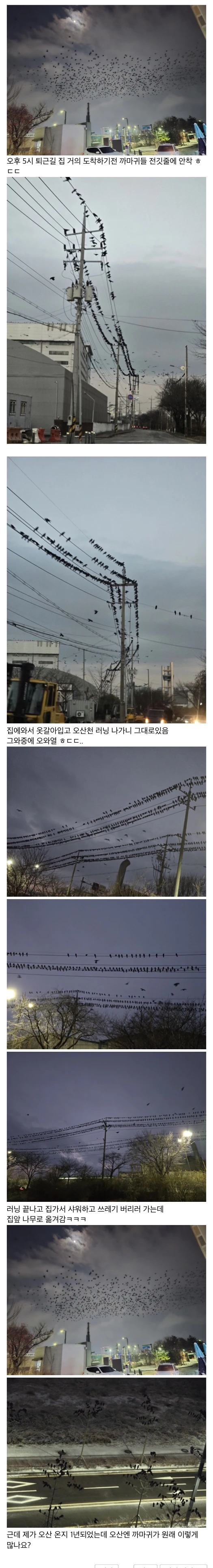 닉값하는 경기도 오산 근황.JPG_1.webp