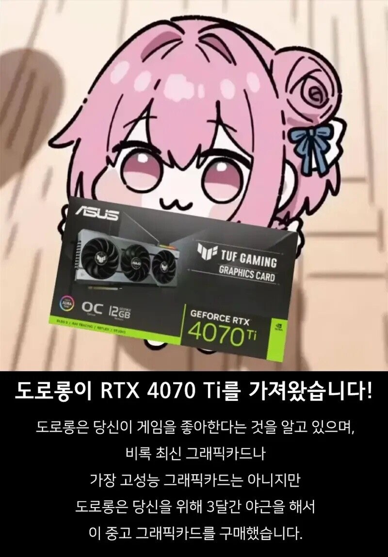 도로롱이 가져온 그래픽카드들을 거절해보았다._1.jpg