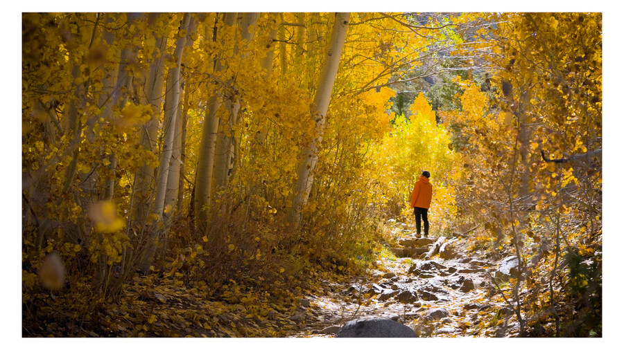 부동산말고 단풍 보고 힐링하고 왔습니다._1.jpg