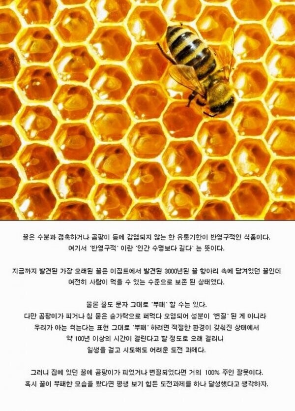 상하면 거의 100% 사람 때문이라는 음식.jpg_1.jpg