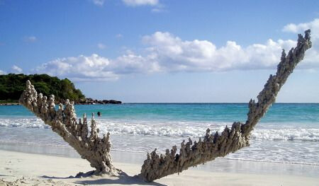 모래사장에 벼락이 내리꽂히면 생기는것_3.jpg