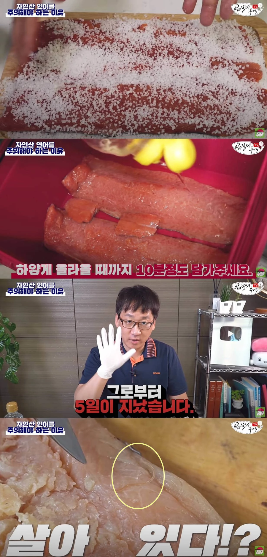 자연산으로는 절대로 먹으면 안되는 음식_5.webp