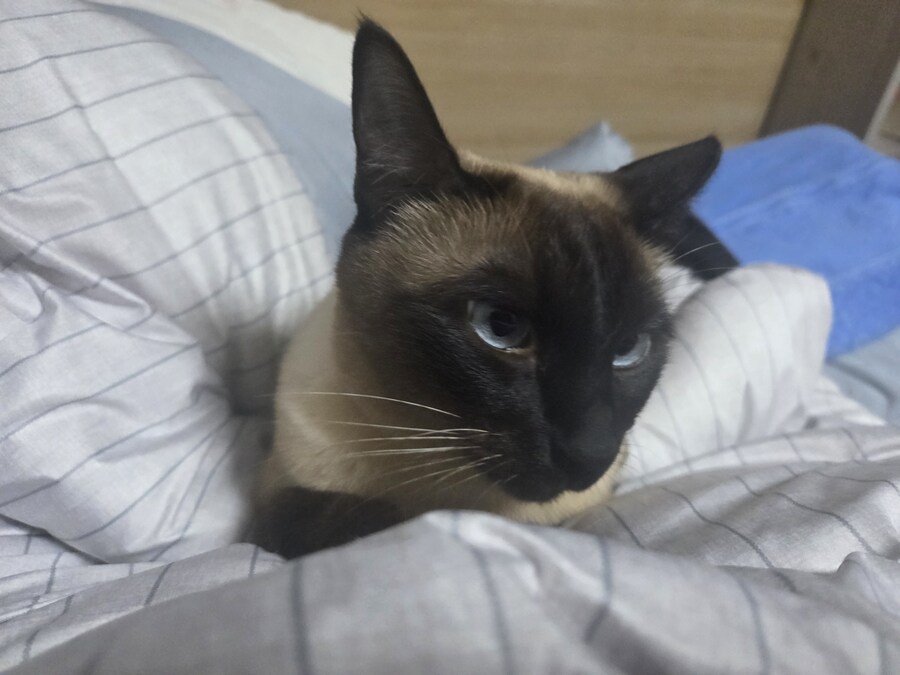 잘 생긴 것은 죄라고 하던데....진짜 죄 많은 놈이 내 옆에..._1.jpg