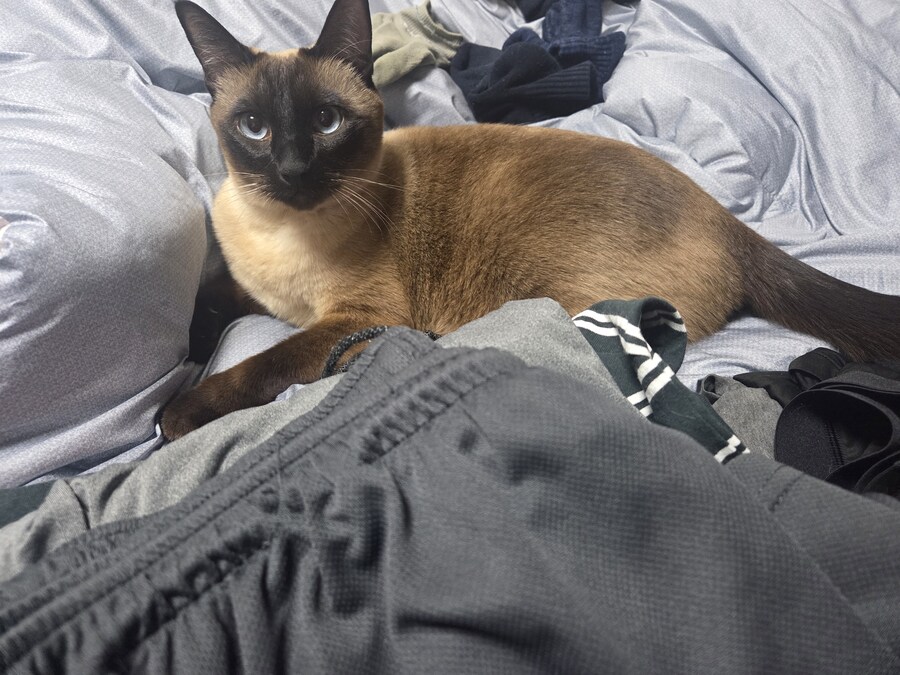 잘 생긴 것은 죄라고 하던데....진짜 죄 많은 놈이 내 옆에..._2.jpg