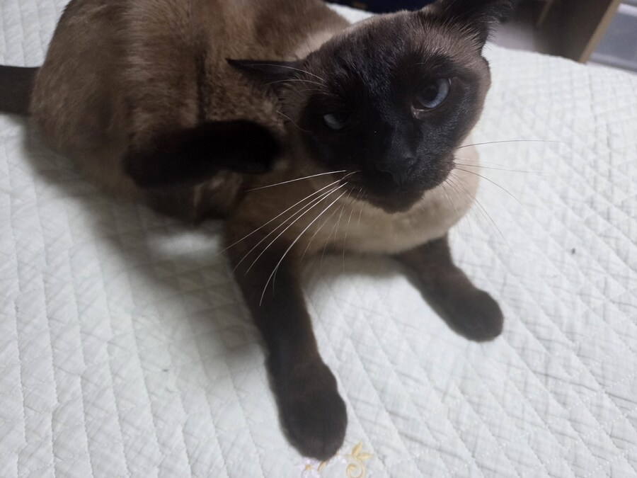 잘 생긴 것은 죄라고 하던데....진짜 죄 많은 놈이 내 옆에..._7.jpg