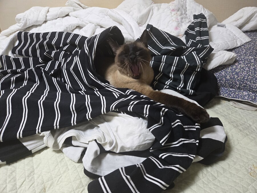 잘 생긴 것은 죄라고 하던데....진짜 죄 많은 놈이 내 옆에..._8.jpg