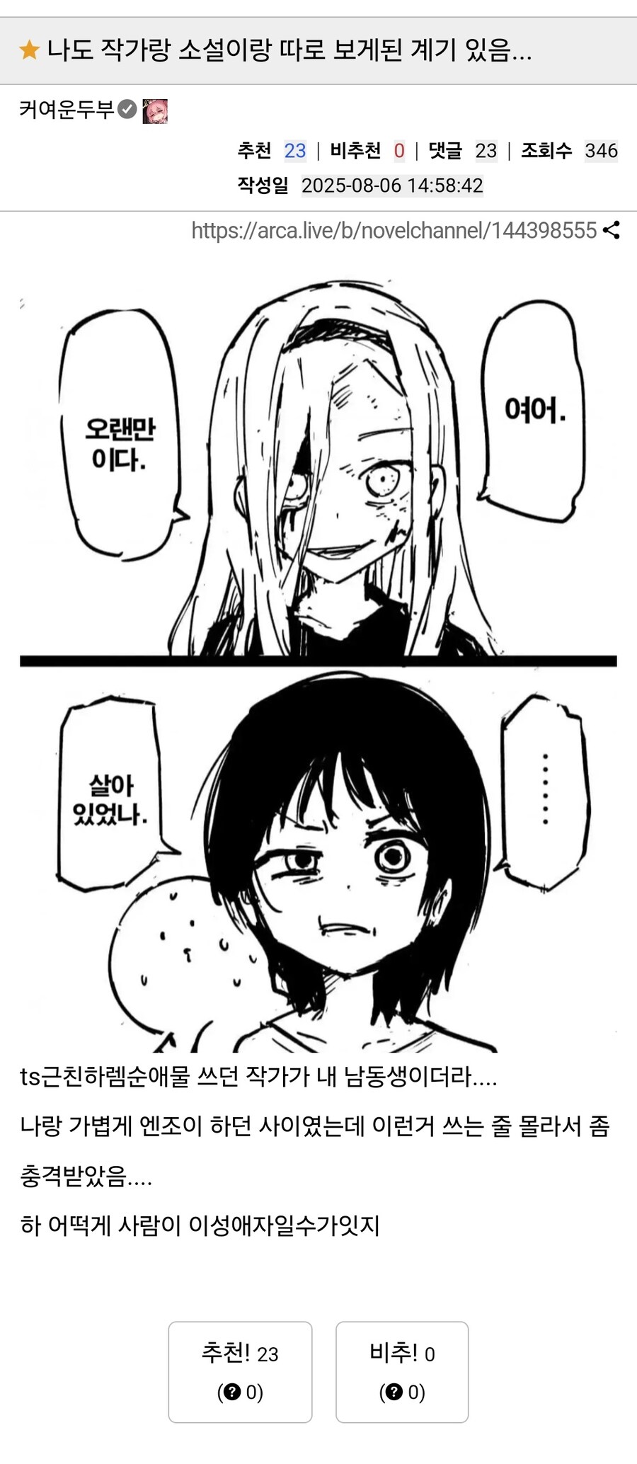 소설과 작가를 따로 보게된 계기.jpg_1.jpg