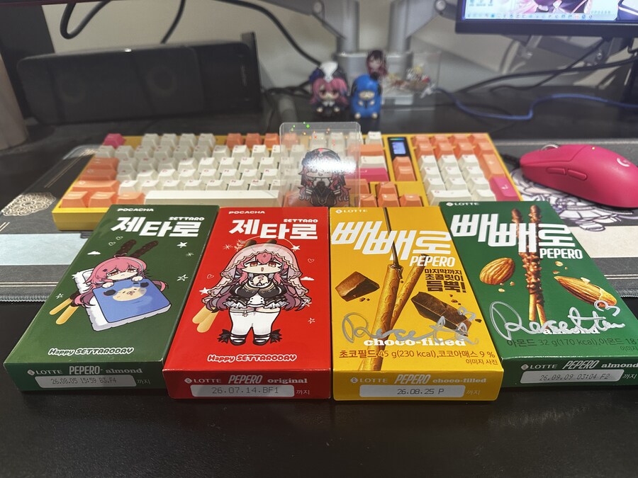 생일 전날 받은 생일선물 제타로_1.jpg