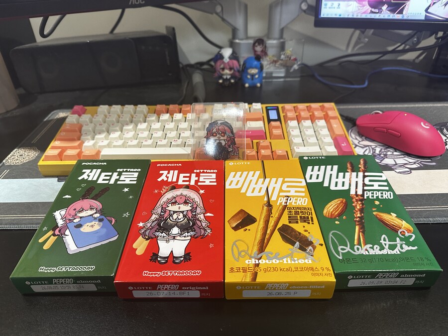 생일 전날 받은 생일선물 제타로_2.jpg