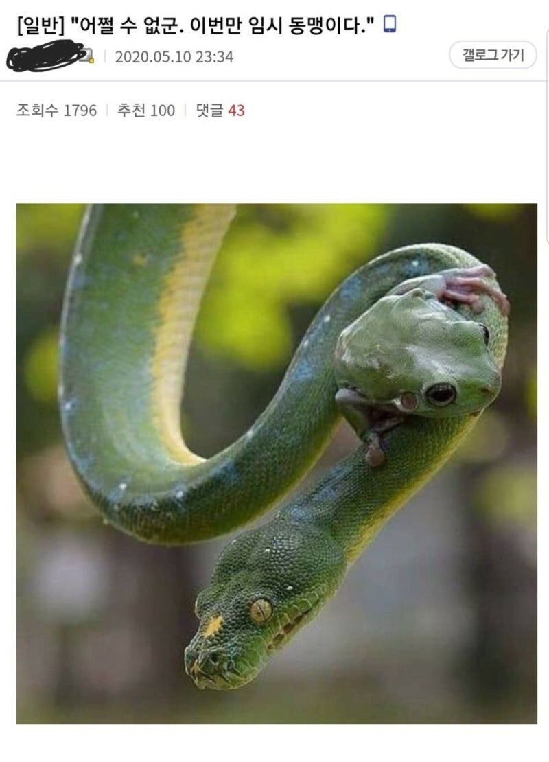 판타지 소설 쓸라면 이 정도 상상력은 필요하다고 생각함_1.jpg