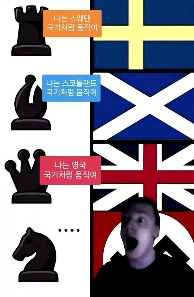국기로 설명하는 체스 규칙_1.jpg