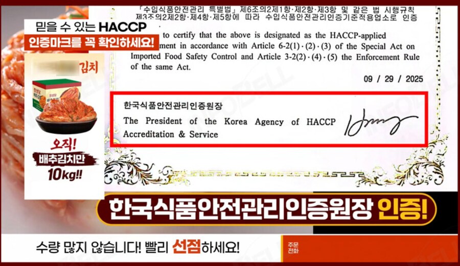 요즘 TV 광고 김치 근황.jpg_2.png