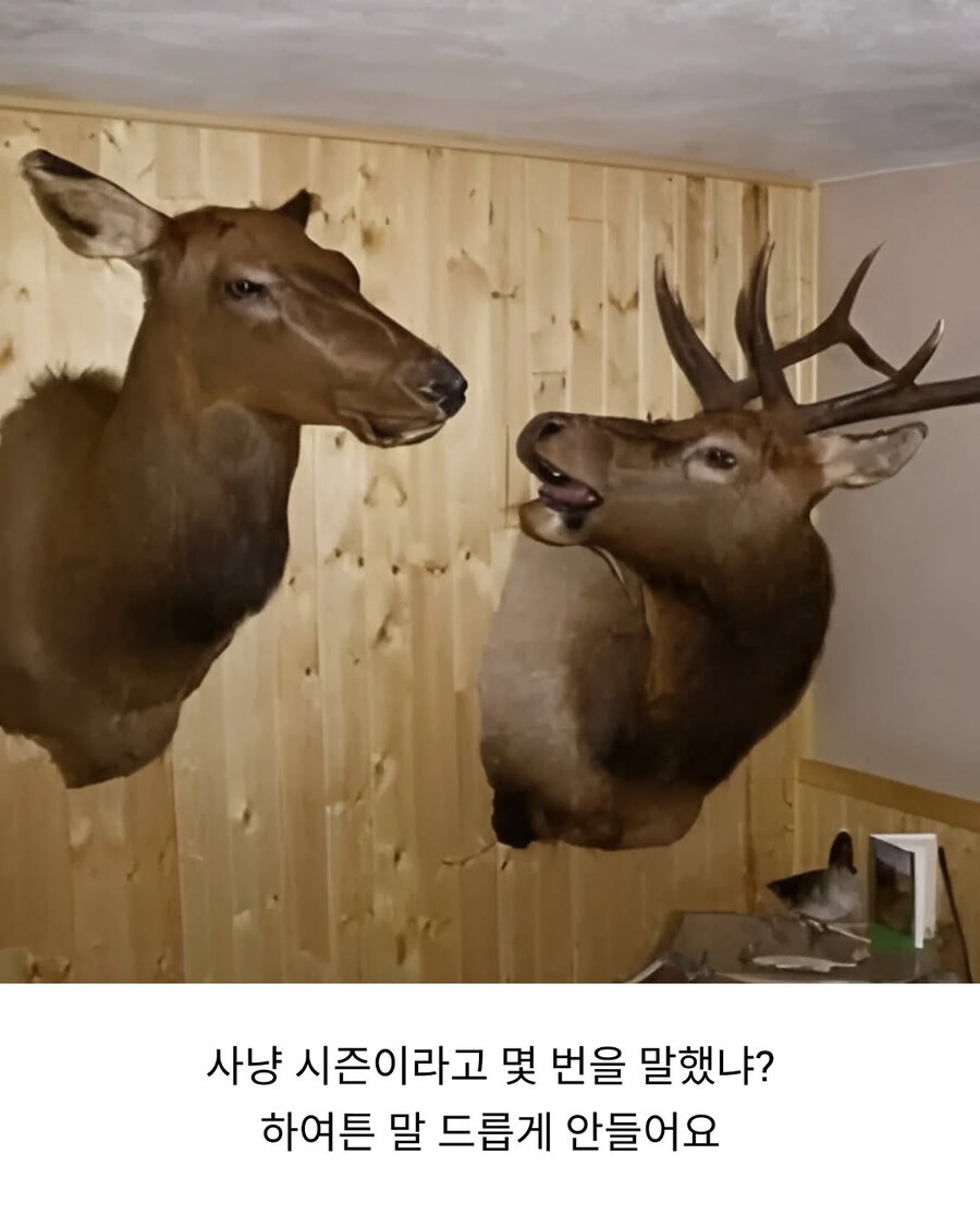 내가 가지말자고 했잖아 시발아ㅡㅡ_1.jpg