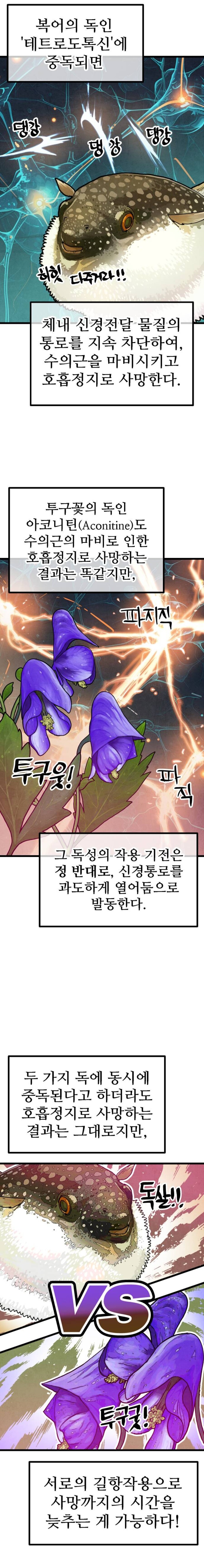 의외로 복어독을 먹었을 때 효과적인 음식_1.jpg