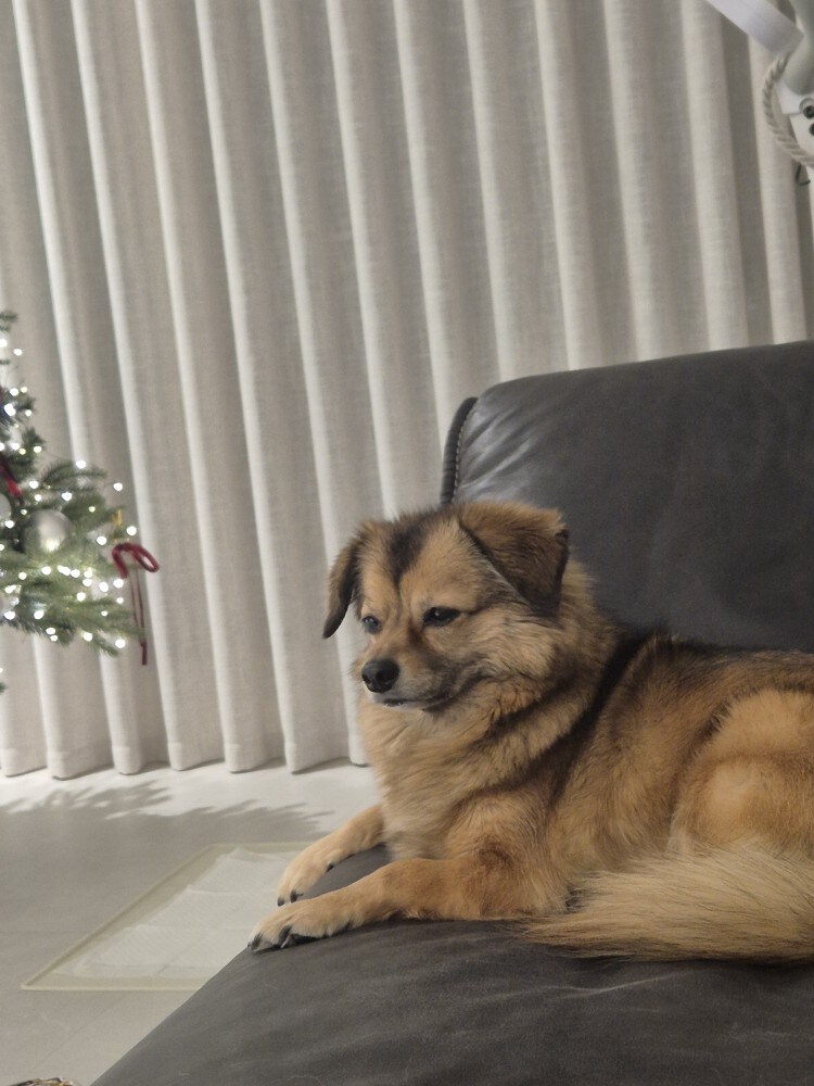 대낮에 뻔뻔하게 범죄 좀 저지르겠습니다_1.jpg