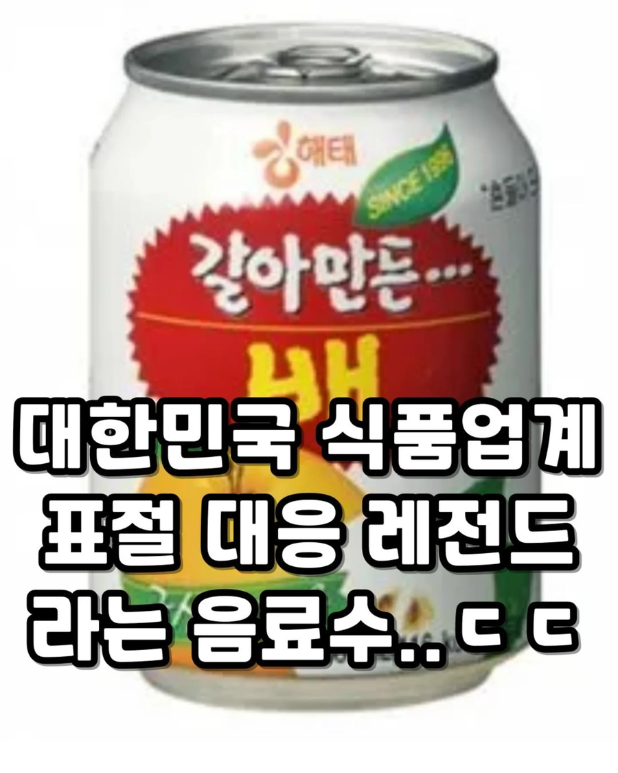 역대급 표절대응 방법_1.webp