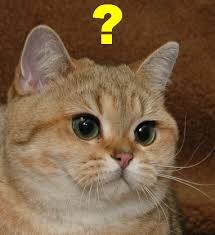 DC 히어로 유니버스는 어쩌다 말아먹은걸까?_17.jpg