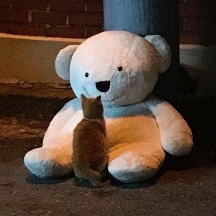 길냥이의 친구 jpg._1.jpg