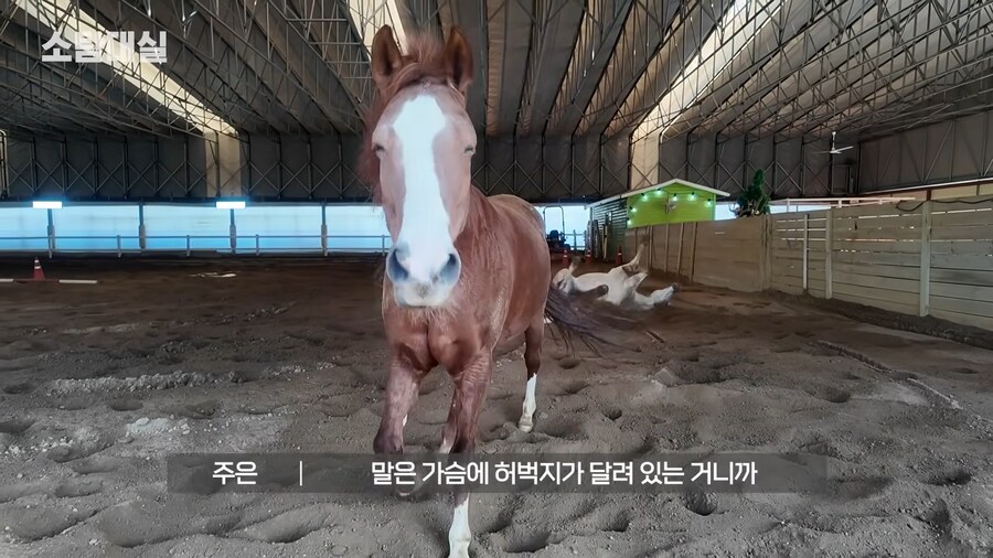 유튜브) 중세 말 정면 그림을 개못그린 이유_49.png