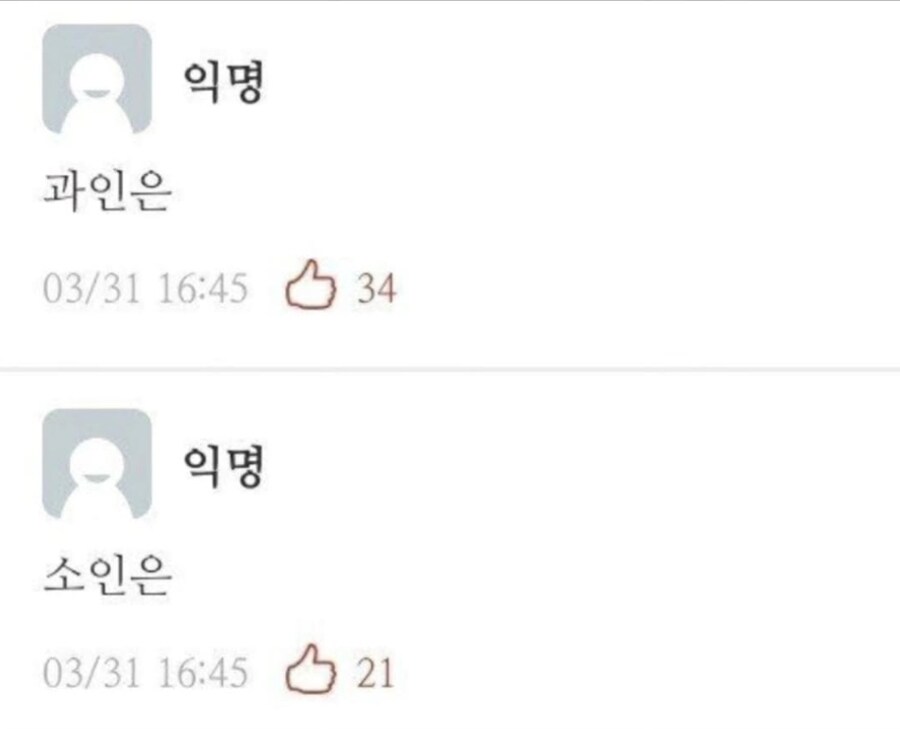 "에세이나 발제문 쓸때 1인칭 뭐라고 쓰냐...?"_3.jpg