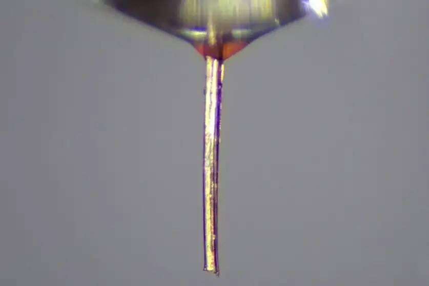 모기 주둥이로 3D 프린터 만든댄다 ㅋㅋㅋㅋ_1.png