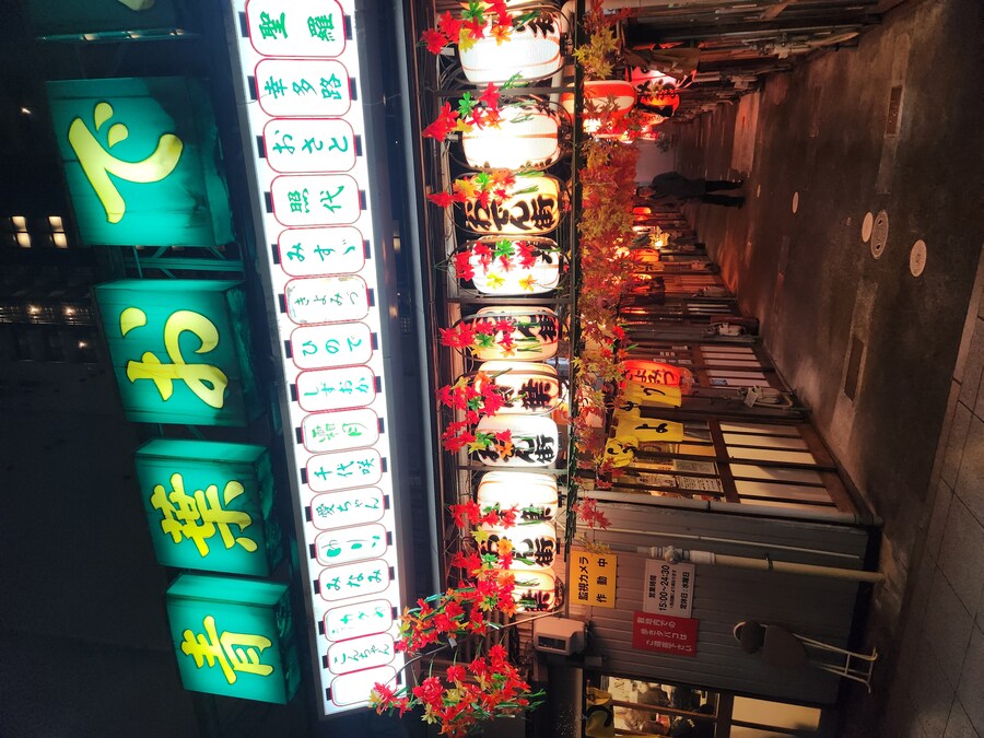 시즈오카->후지산 여행중(1일~2일차 사진많음)_1.jpg