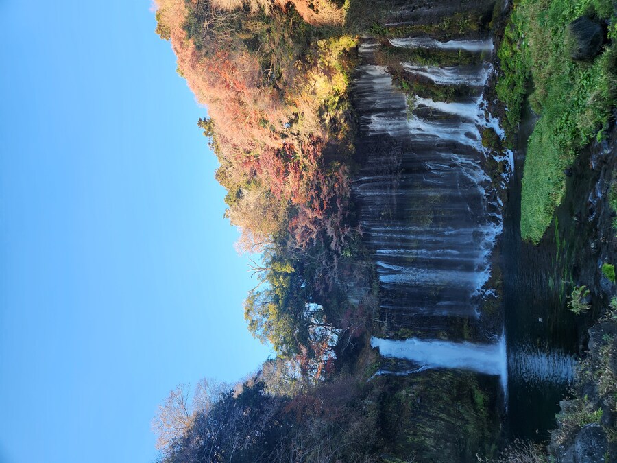 시즈오카->후지산 여행중(1일~2일차 사진많음)_11.jpg