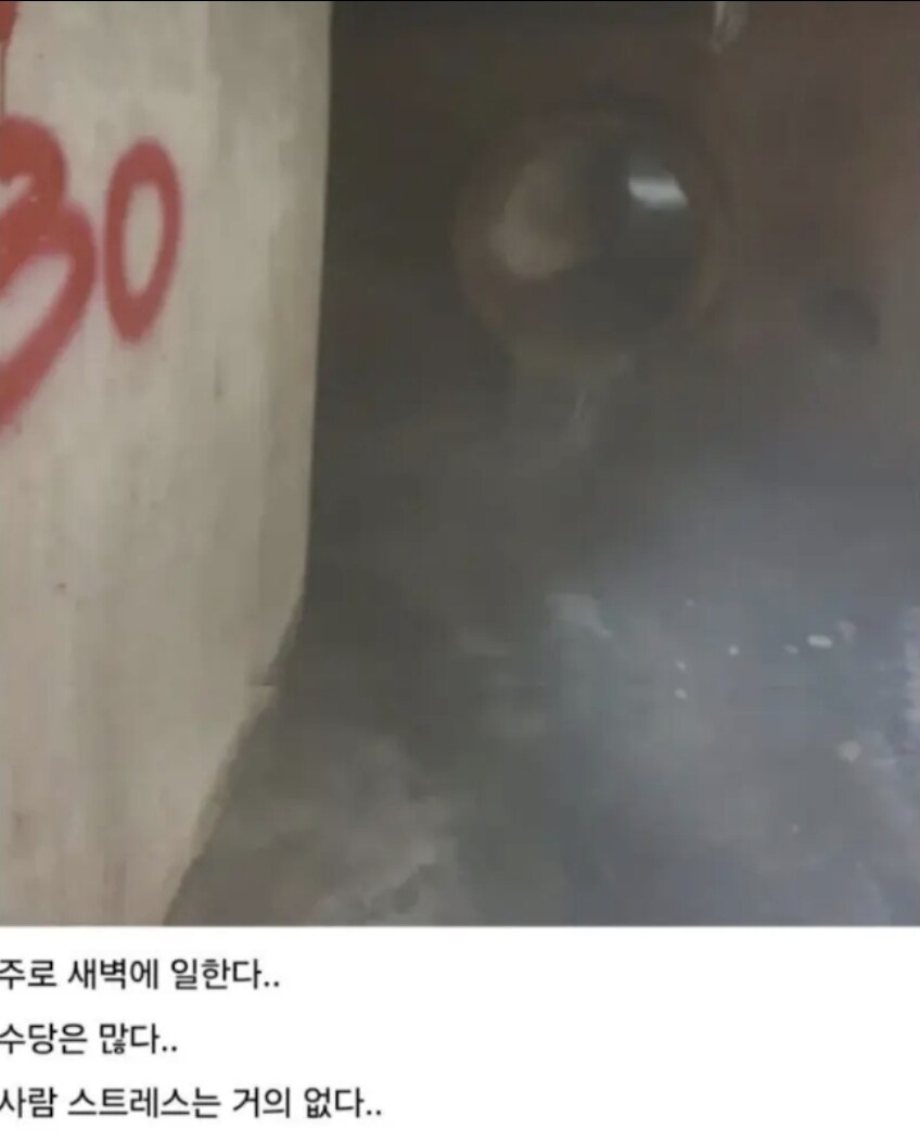 본인 일하는 곳 올린 디시인_5.jpg