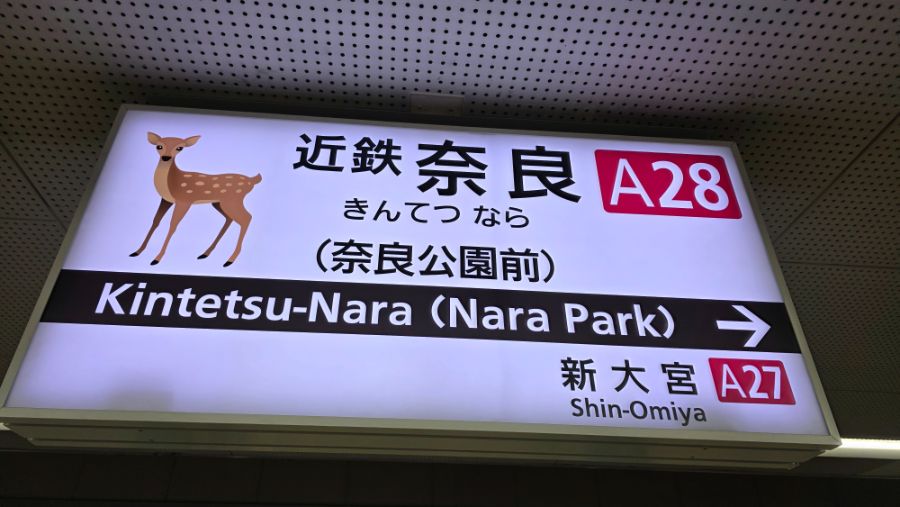 [일본] 나라 덕질 여행기! 나라에서 사슴말고 덕질 탐방! (초스압)_2.jpg