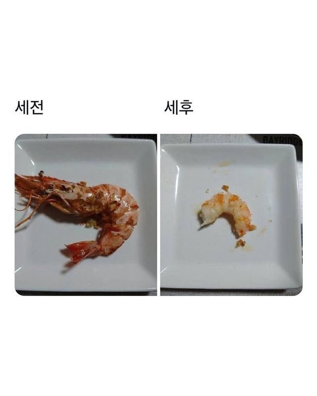월급의 세후와 세전을 이해쉽게 설명한 짤_1.jpg