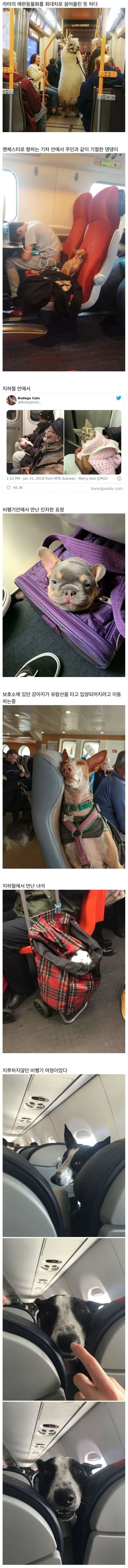 대중교통 안에서 만난 특이한 승객들_2.webp