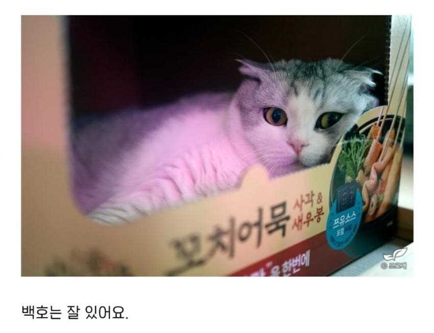 거위도 부화시키는 드루이드_3.jpg