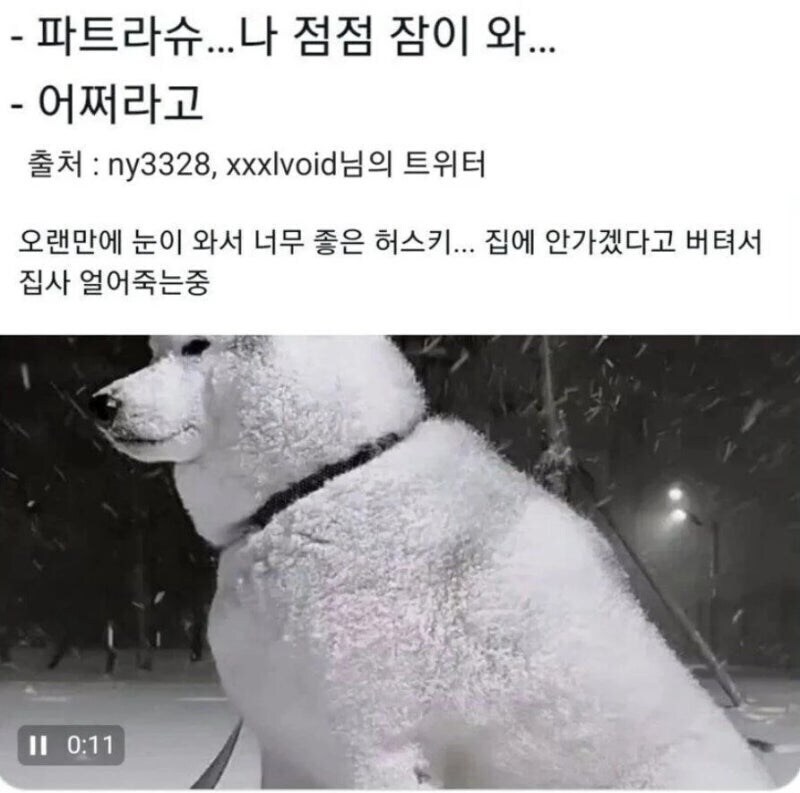 주인 학대_3.jpg